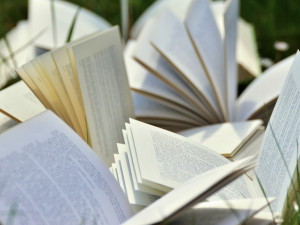 V Česku minulý rok vyšlo téměř 18 tisíc knih, z toho 5559 titulů beletrie