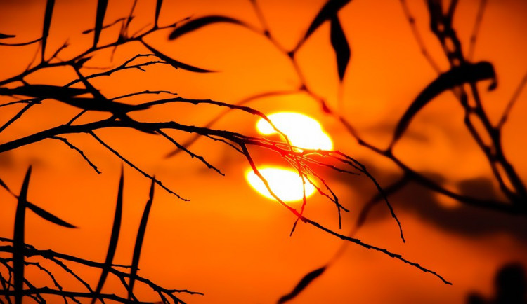 ilustrační fotografie