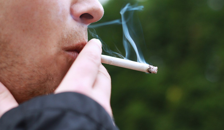 ilustrační fotografie