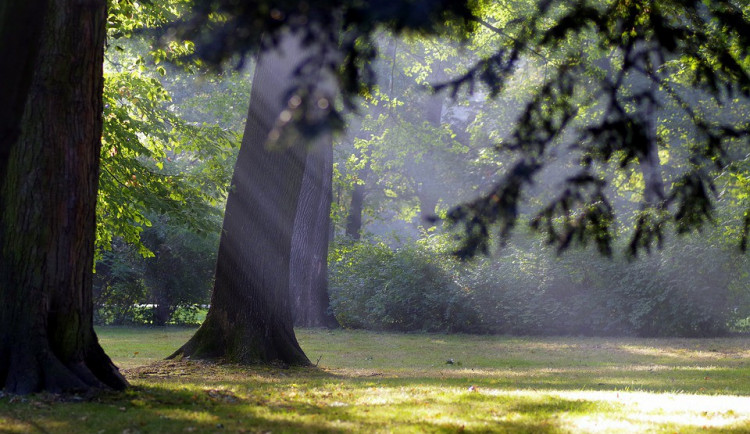 ilustrační fotografie