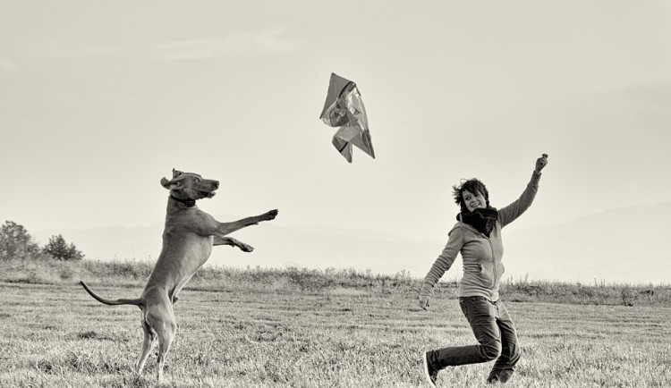 ilustrační fotografie