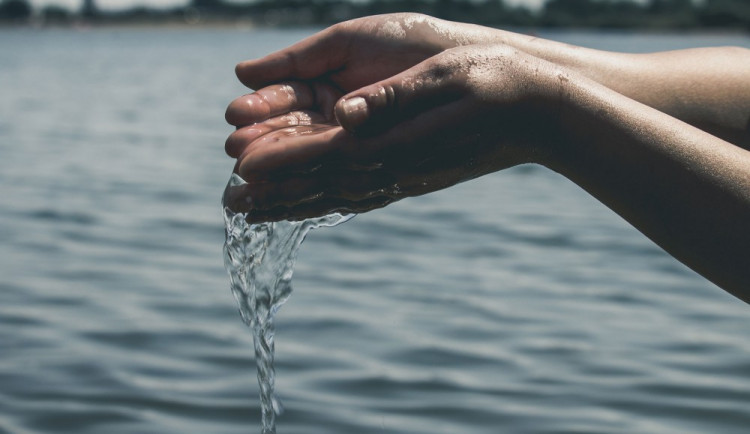 ilustrační fotografie