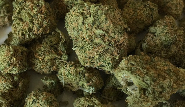 ilustrační fotografie