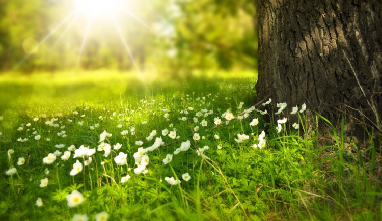 POČASÍ NA PONDĚLÍ: Dnes už bez bouřky a deště. Teploty se budou pohybovat kolem 22 stupňů