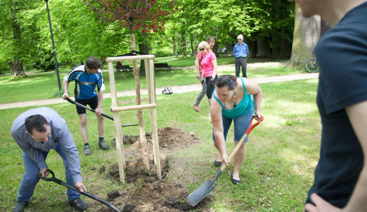 Olomoucký projekt Jsme ze stejné planety se dostal do finále Nadačního fondu VEOLIA. Podpořte jej