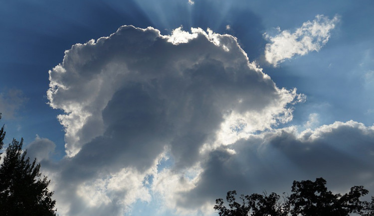 ilustrační fotografie