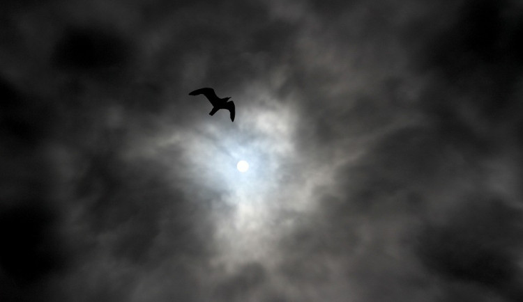 ilustrační fotografie