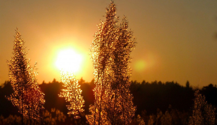 ilustrační fotografie