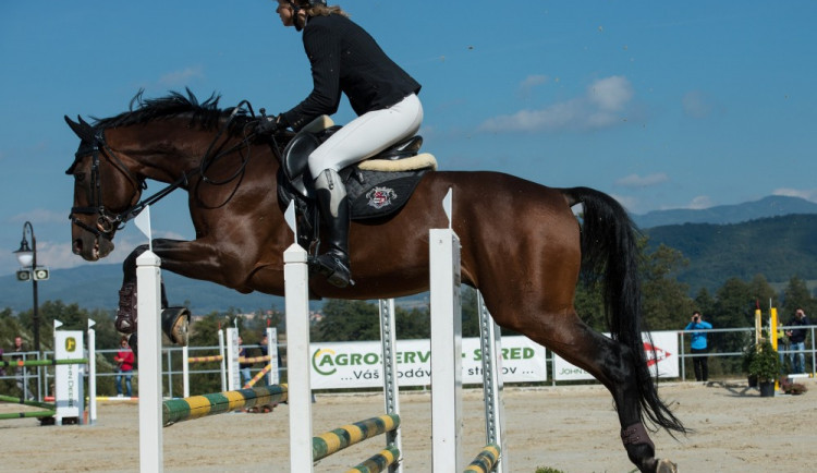 Ilustrační obrázek