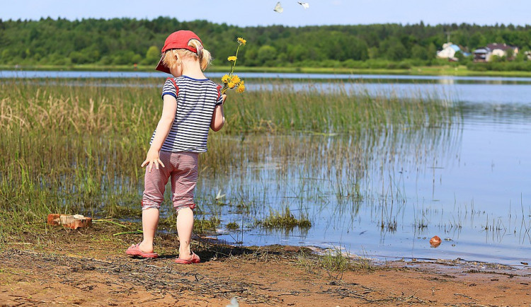 ilustrační fotografie