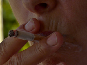 Senát bude projednávat petici proti protikuřáckému zákonu. Podepsalo ji přes 23 tisíc lidí