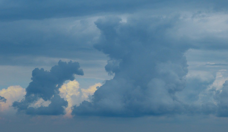 ilustrační fotografie