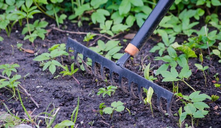 ilustrační fotografie