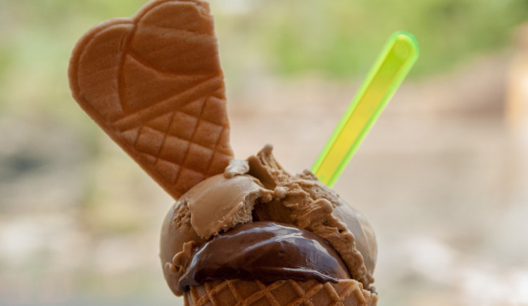 ilustrační fotografie