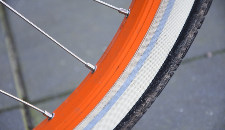 ilustrační fotografie