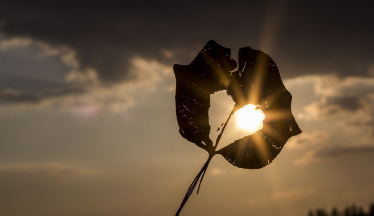 ilustrační fotografie