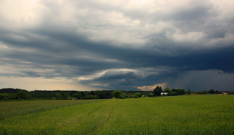 ilustrační fotografie