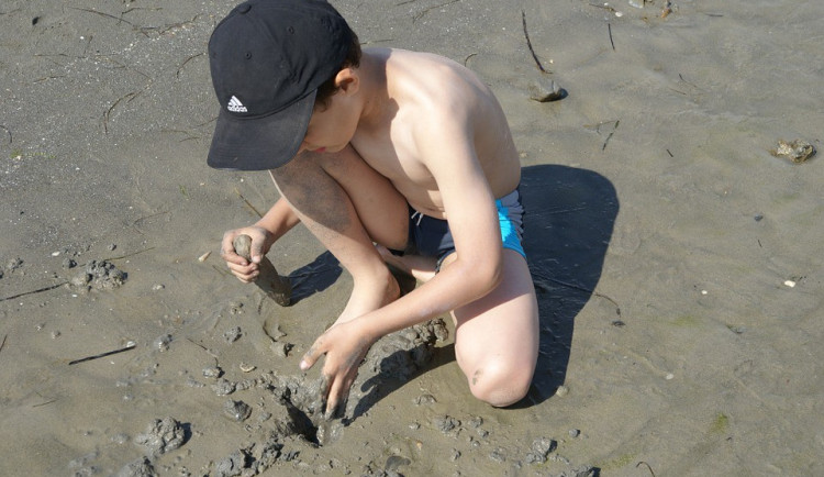 ilustrační fotografie