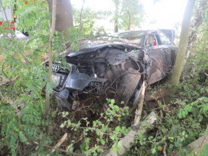 Opilý řidič u Domašova nezvládl své auto, skončil s ním mezi stromy