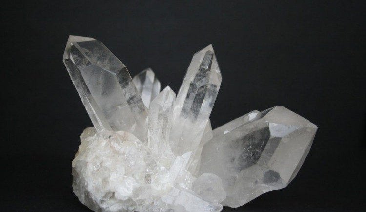 ilustrační fotografie