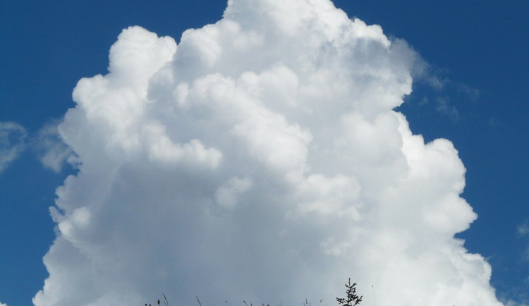 ilustrační fotografie