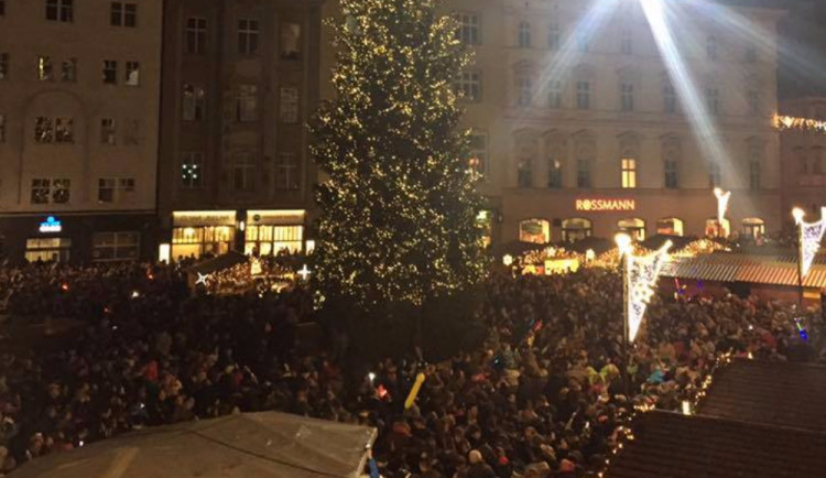 Olomoucká radnice hledá už nyní vhodný vánoční strom na Horní náměstí