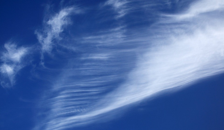 ilustrační fotografie