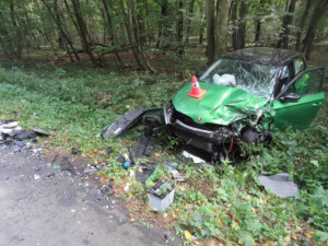 FOTO: Opilý řidič projíždějící lesem čelně naboural do protijedoucího auta. Nadýchal 3,1 promile