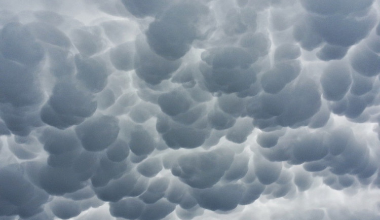 ilustrační fotografie