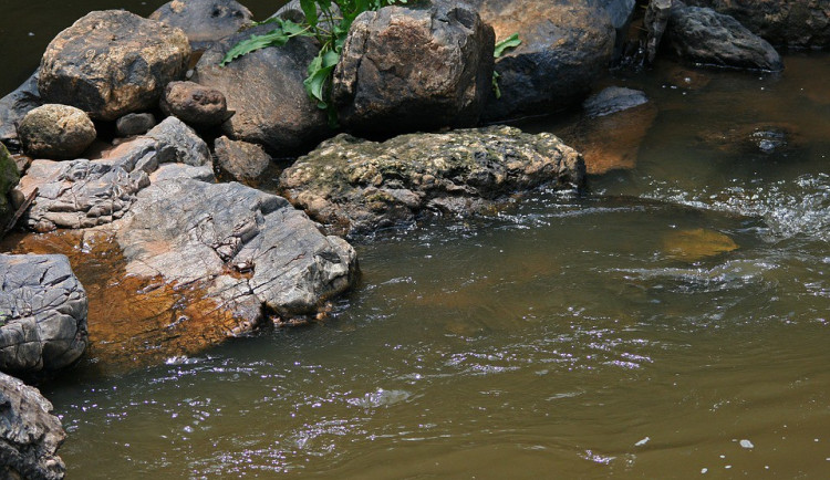 ilustrační fotografie