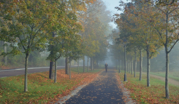 ilustrační fotografie