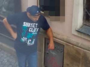 VIDEO: Neznámý muž vstoupil do cizího bytu a následně ho celý prošel. Tvrdil, že hledá brigádu