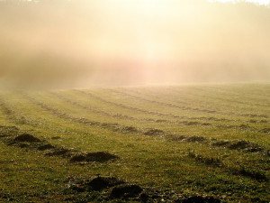 POČASÍ NA STŘEDU: Ráno místy mlhy, přes den oblačno až polojasno a dvacet stupňů