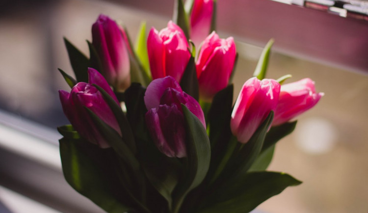 Policisté museli řešit neopětovanou lásku. Muž sváděl pracovnici bufetu, neuspěl ani s kyticí