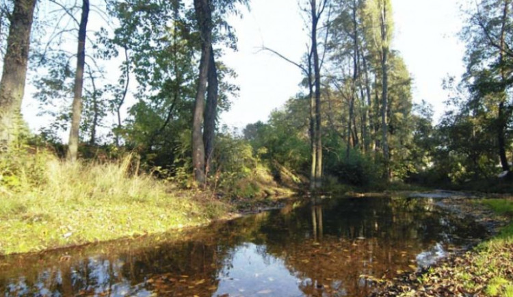 Biokoridor Hloučela