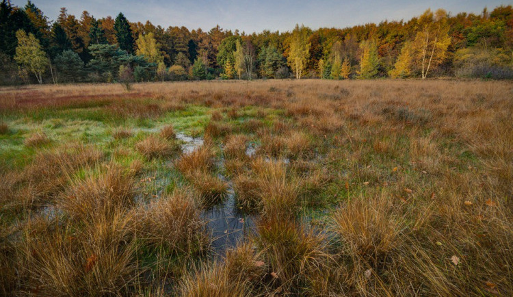 ilustrační fotografie