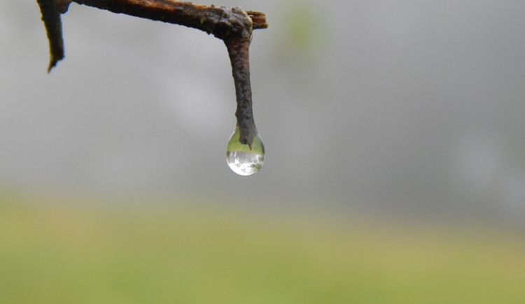 ilustrační fotografie