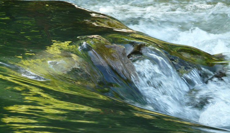 ilustrační fotografie