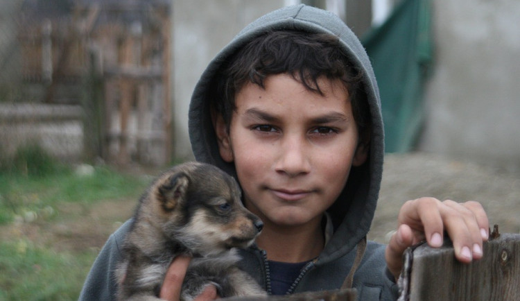 ilustrační fotografie