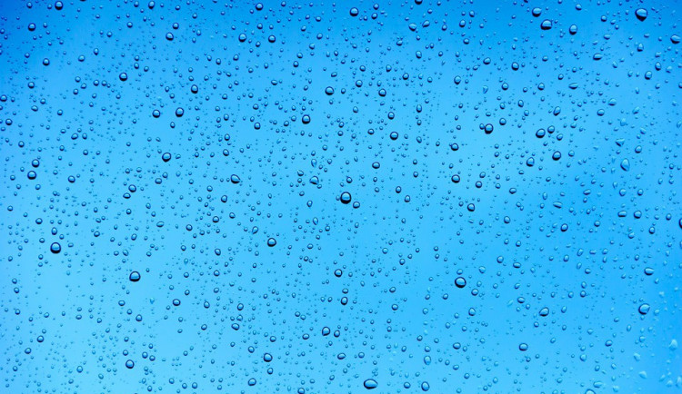 ilustrační fotografie