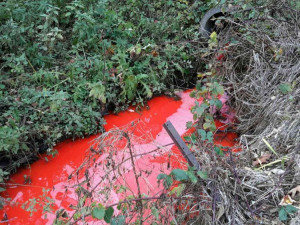 V Jednově na Prostějovsku se v kanalizaci objevila červená chemikálie