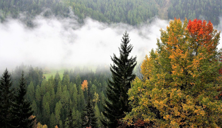 ilustrační fotografie