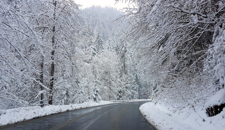 ilustrační fotografie