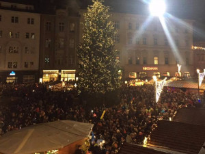 Vánoční strom, který bude stát na Horním náměstí, hledá opět jméno