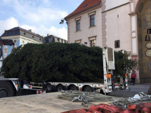 Kolem poledne se bude na Horním náměstí instalovat vánoční strom, přijede z Postřelmova
