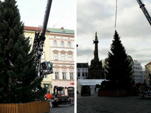 ANKETA: Horní náměstí už zdobí vánoční strom. Líbí se vám?