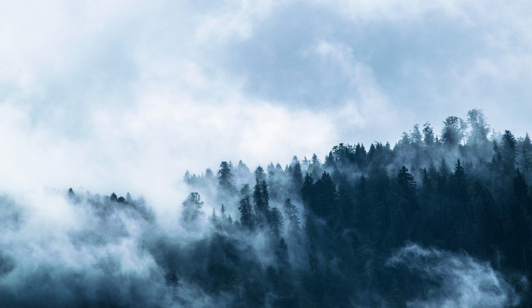 ilustrační fotografie