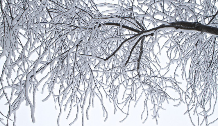 ilustrační fotografie