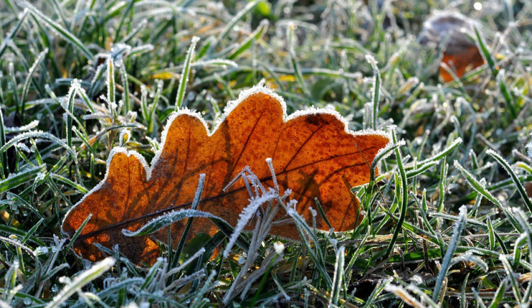 ilustrační fotografie