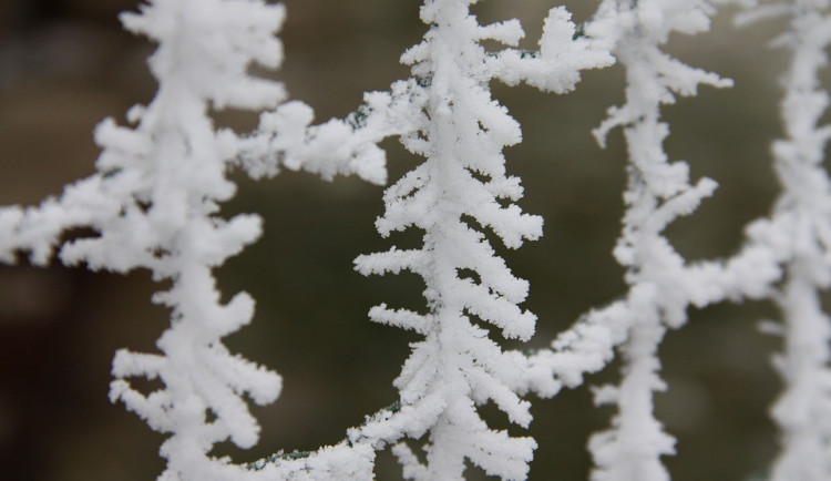 ilustrační fotografie